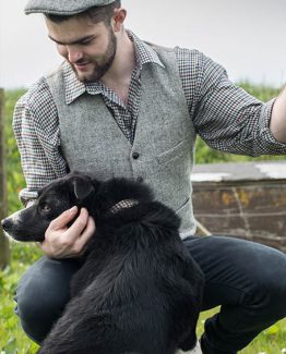 tweed flat cap for dogs