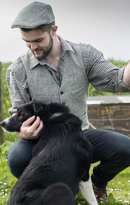 dog tweed cap
