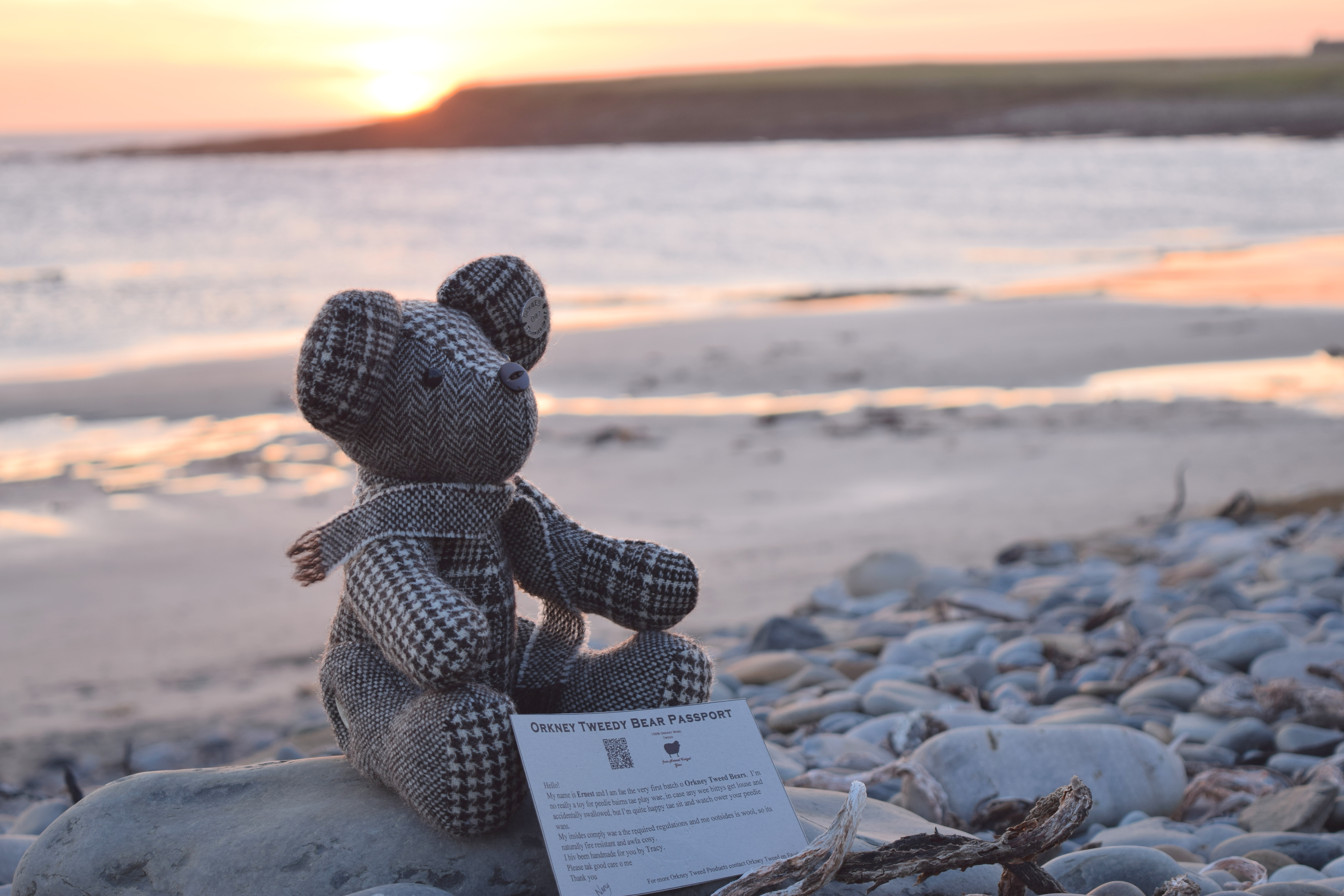 Call girl in Orkney